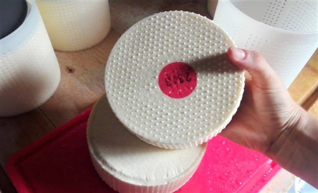 how Swiss cheese is made fresh Swiss cheese