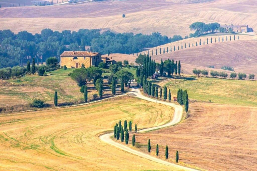 Tuscany itinerary 5 days cyprees trees roads