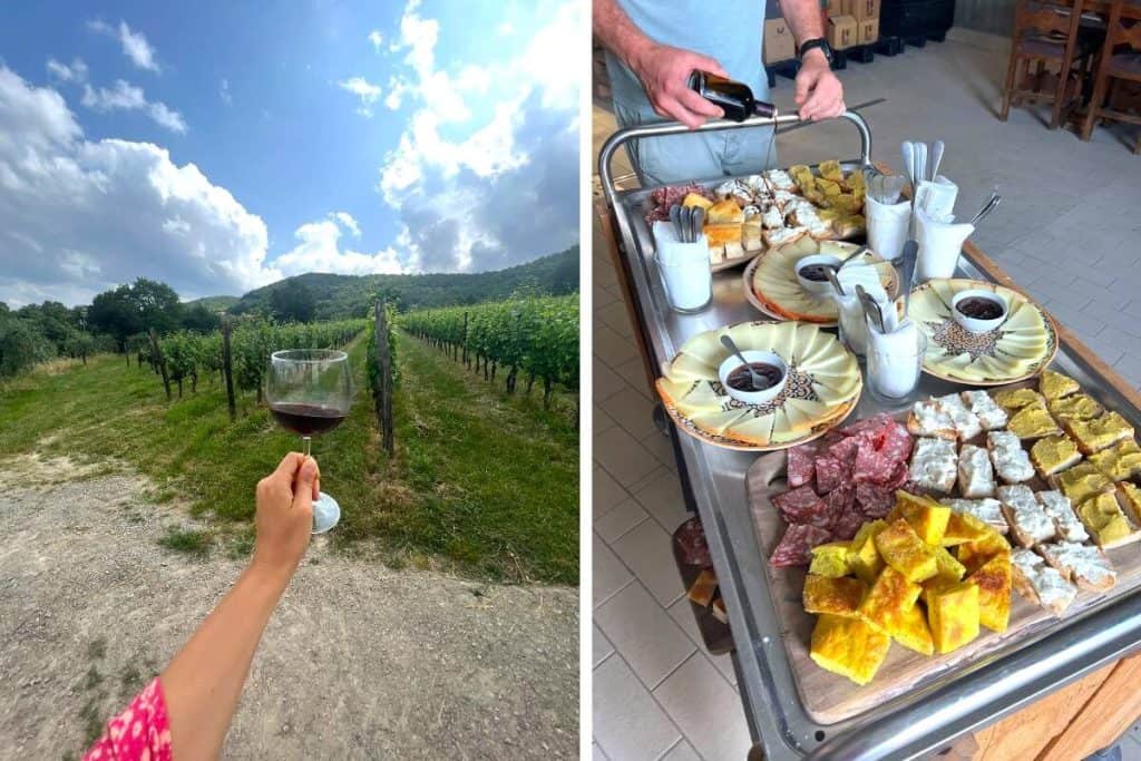 Val d'Orcia and Tuscany wine tasting