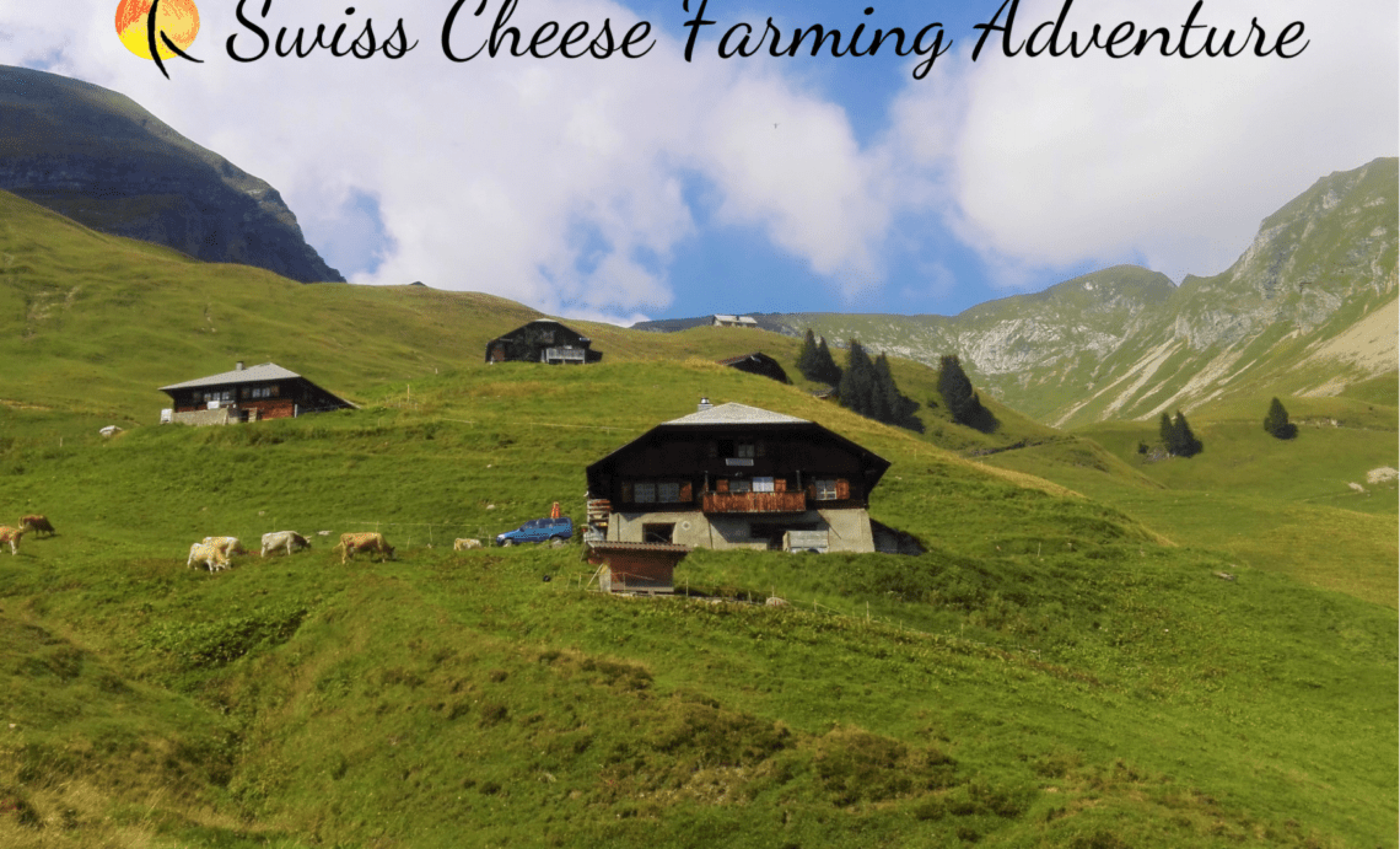 Swiss Cheese Farming
